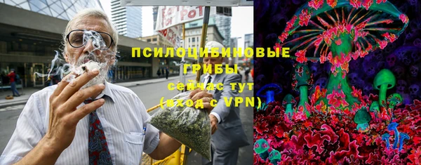 PSILOCYBIN Ростов