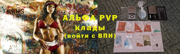 PSILOCYBIN Ростов